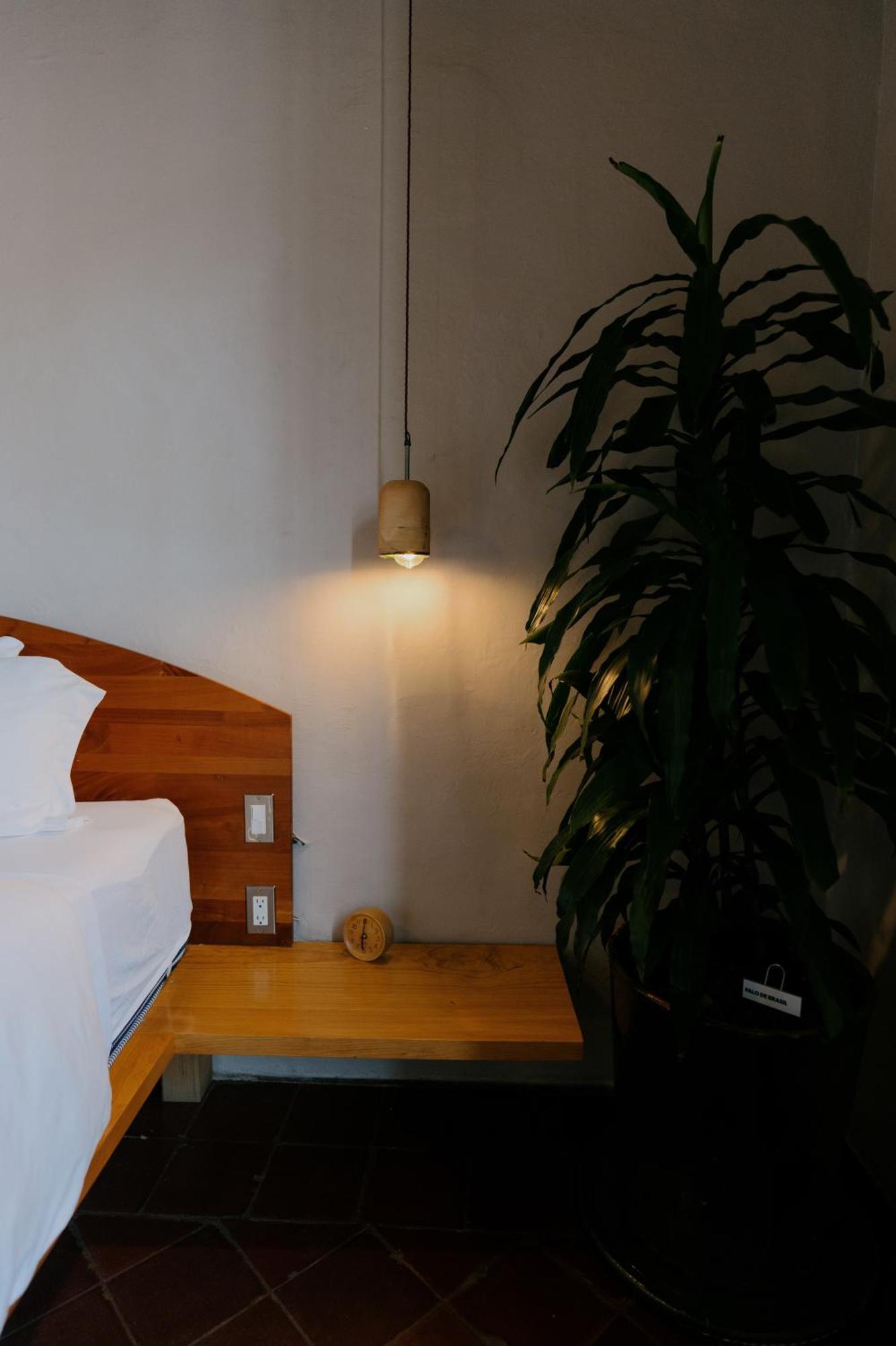 Grana B&B Oaxaca Экстерьер фото